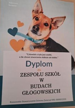 Zbiórka karmy dla zwierząt ze schroniska Kundelek w Rzeszowie