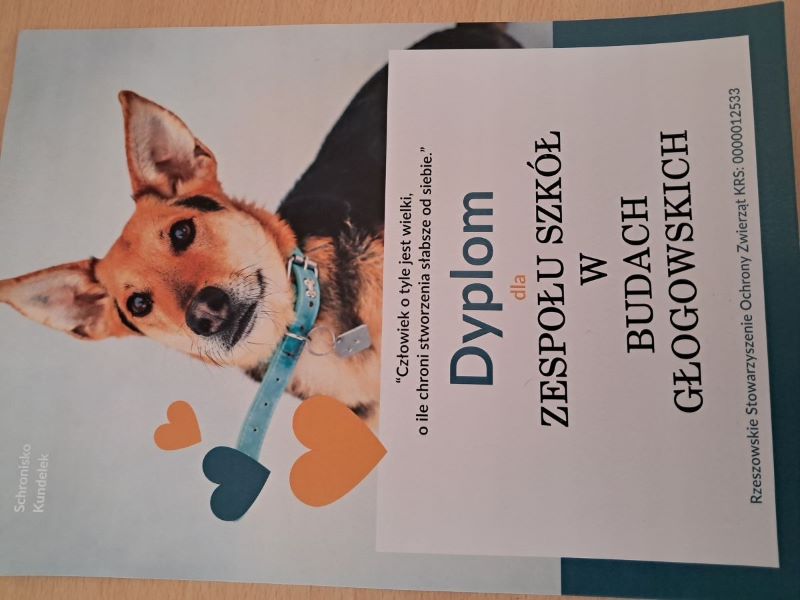 Zbiórka karmy dla zwierząt ze schroniska Kundelek w Rzeszowie