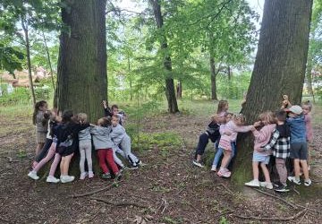 „Przytul się do drzewa” – nasza szkoła znów w akcji!